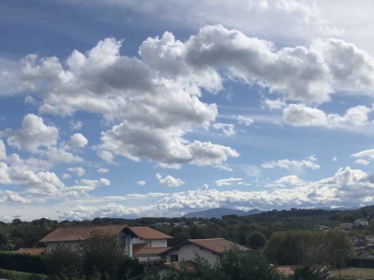 Terrain — photo 1