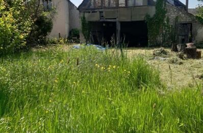 maison 1 pièces 180 m2 à vendre à Saint-Loup-des-Vignes (45340)