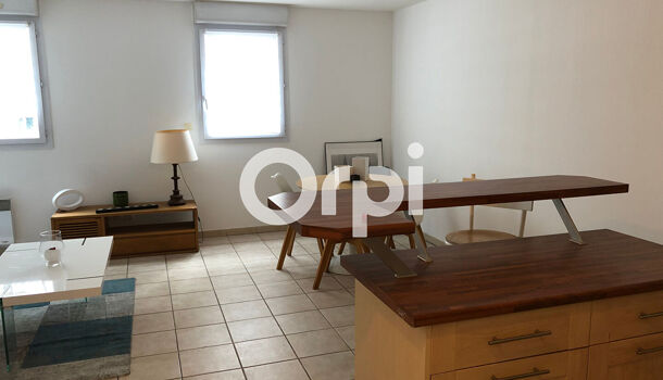 Appartement 3 pièces  à louer Marseille 8eme 13008