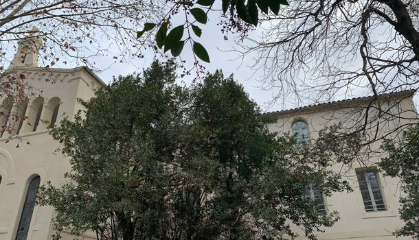 Appartement 3 pièces  à vendre Montpellier 34000