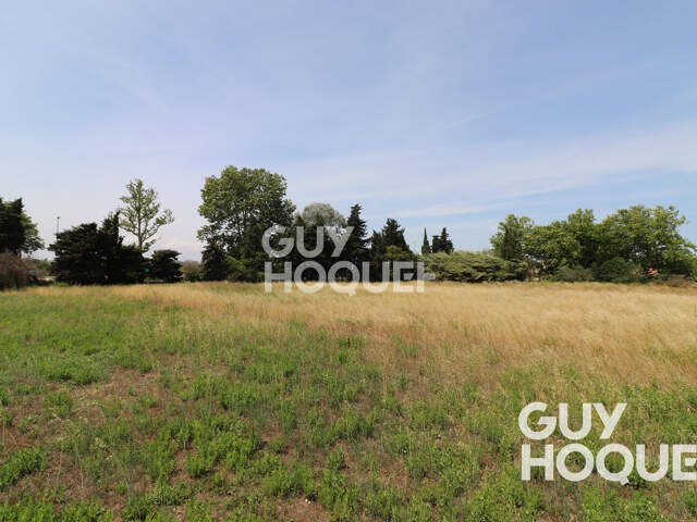 Sainte Marie  Terrain constructible- Parcelle de 820 m² - libre constructeur — photo du bien