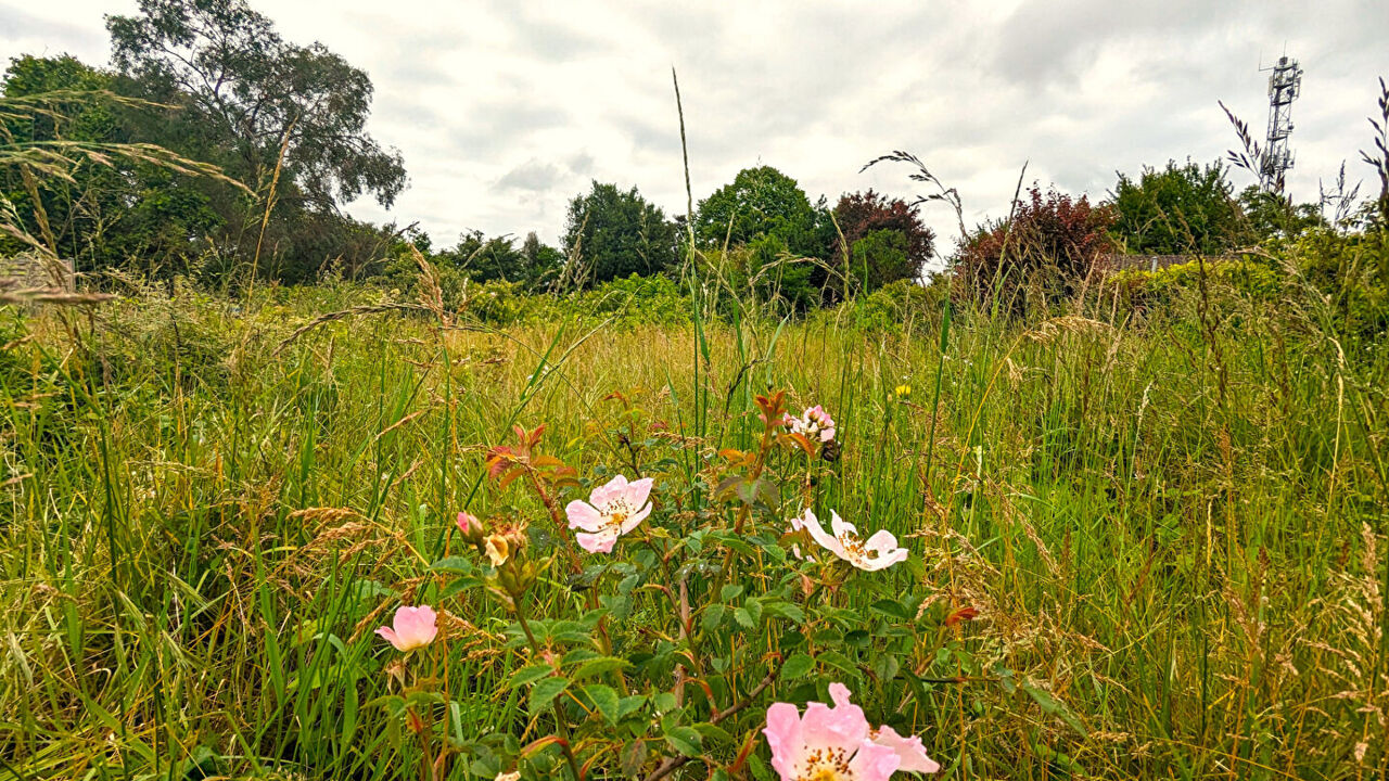 terrain  pièces 1034 m2 à vendre à Migné-Auxances (86440)