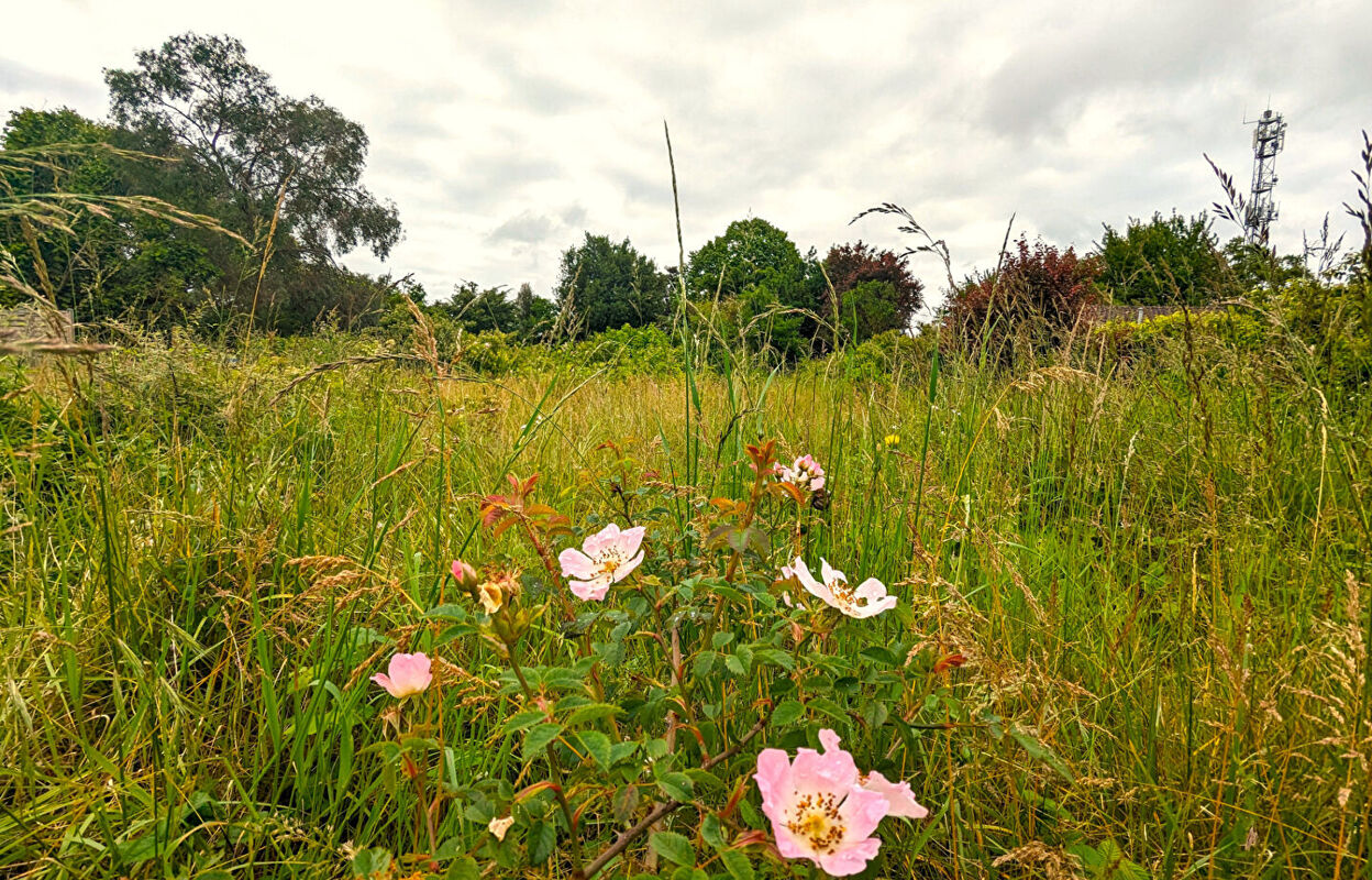 terrain  pièces 1034 m2 à vendre à Migné-Auxances (86440)