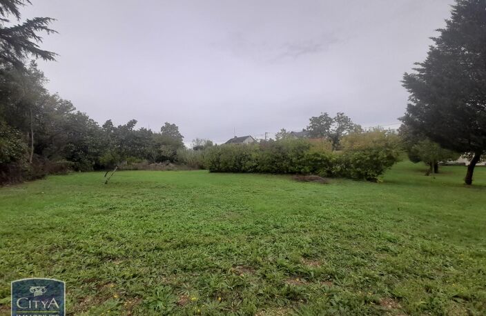 Vente terrain  1955 m² Déols (36130) — photo 5