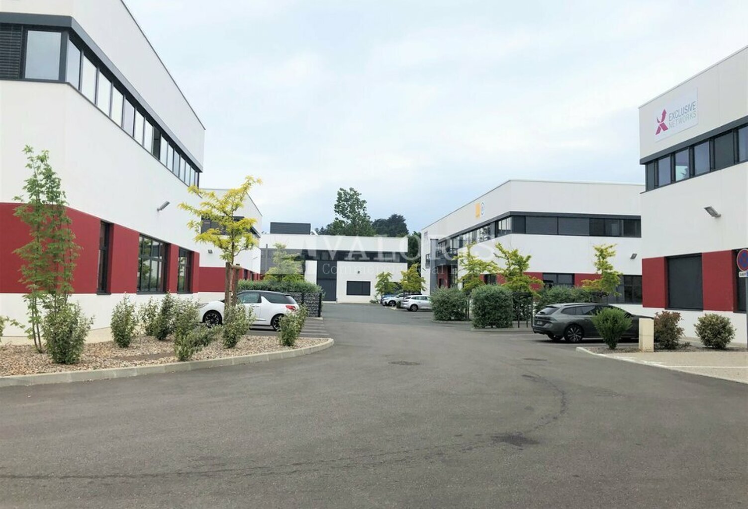 BUREAUX à LOUER — photo 1