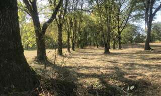 Terrain  3799 m² à vendre à Lavercantière (46340)