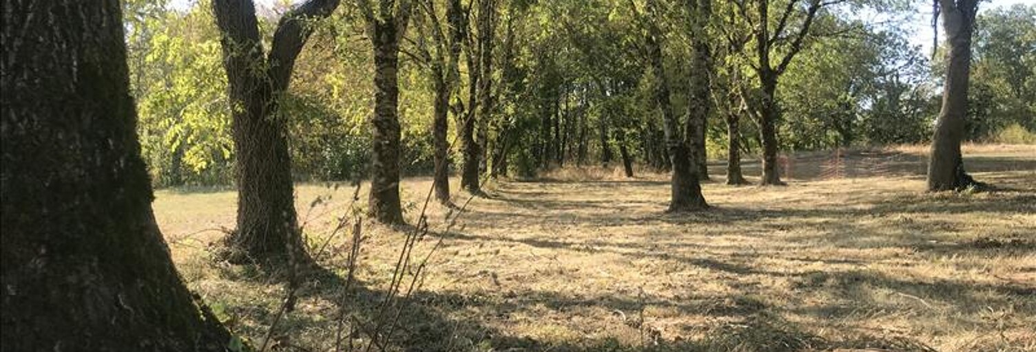 Terrain  3799 m² à vendre à Lavercantière (46340)