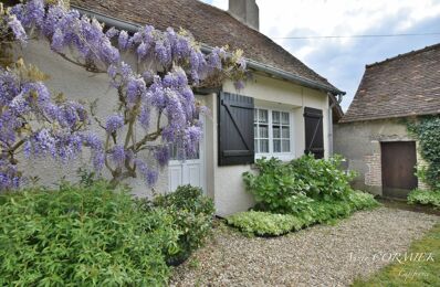 vente maison 241 000 € à proximité de Saint-Benoît-sur-Loire (45730)