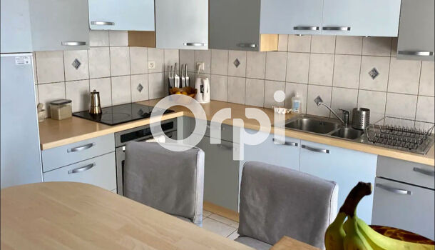 Appartement 2 pièces  à louer Marseille 8eme 13008