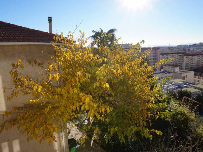Magnifique 2P au calme — photo 1