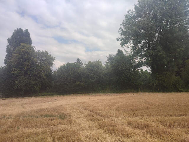 Terrain constructible sur Seraincourt — photo du bien