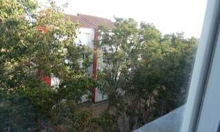 Photo N° 5