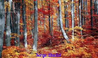 Terrain  4730 m² à vendre à Saint-Denis-en-Margeride (48700)