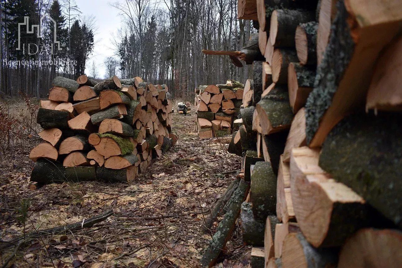 Photo Propriétés forestières (fayard) image 2/2