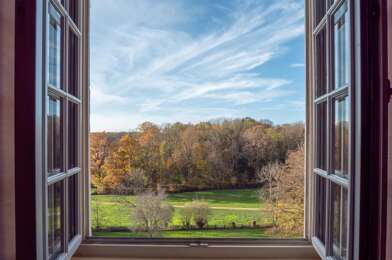 Appartement 3 pièces 850 €