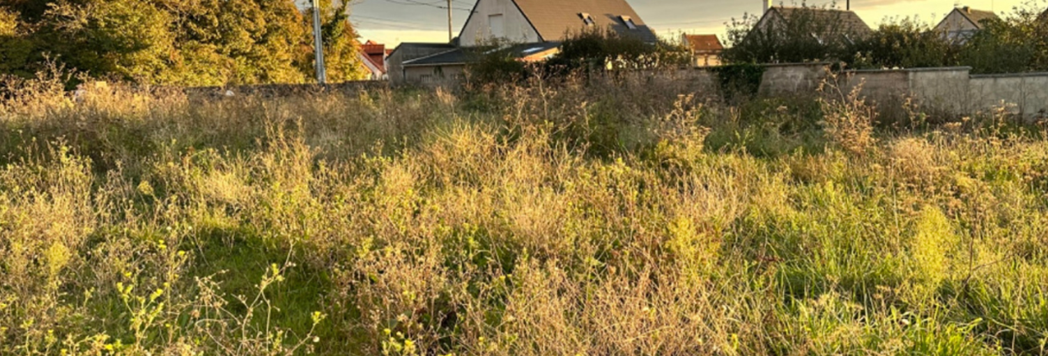 Terrain  1264 m² à vendre à Ferques (62250)