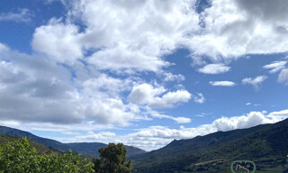 Photo N° 3