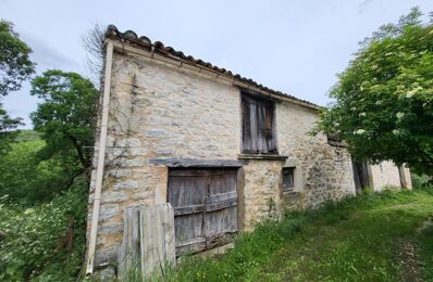 vente maison 47 000 € à proximité de Saint-Antonin-Noble-Val (82140)