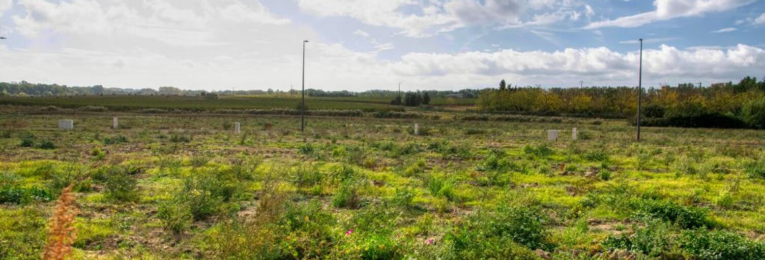 Terrain  600 m² à vendre à Villesèquelande (11170)