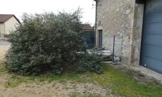 Photo N° 3