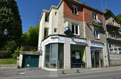 vente immeuble 325 000 € à proximité de Saint-Pierre-des-Nids (53370)