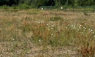 Terrain  10000 m² à vendre à Wittelsheim (68310)