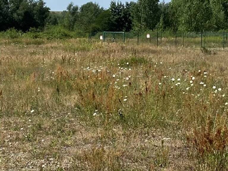 Wittelsheim 1 hectare en ZAE — photo 1