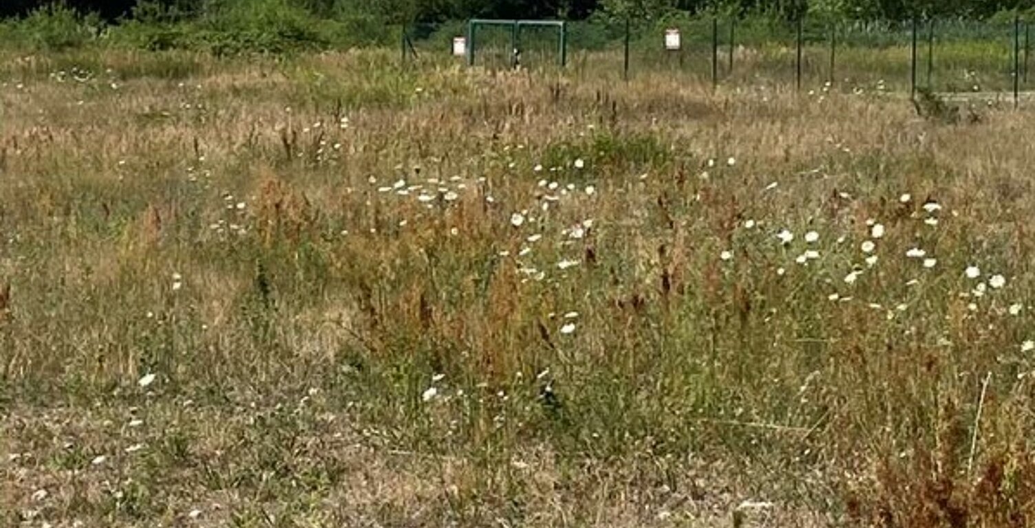 Wittelsheim 1 hectare en ZAE — photo 1