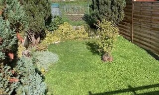 Photo N° 6