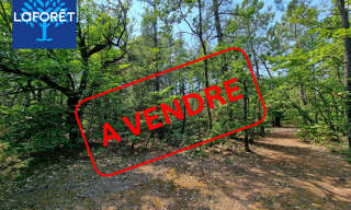 Terrain  20041 m² à vendre à Saint-Trinit (84390)