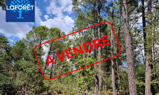 Terrain  11856 m² à vendre à Saint-Trinit (84390)