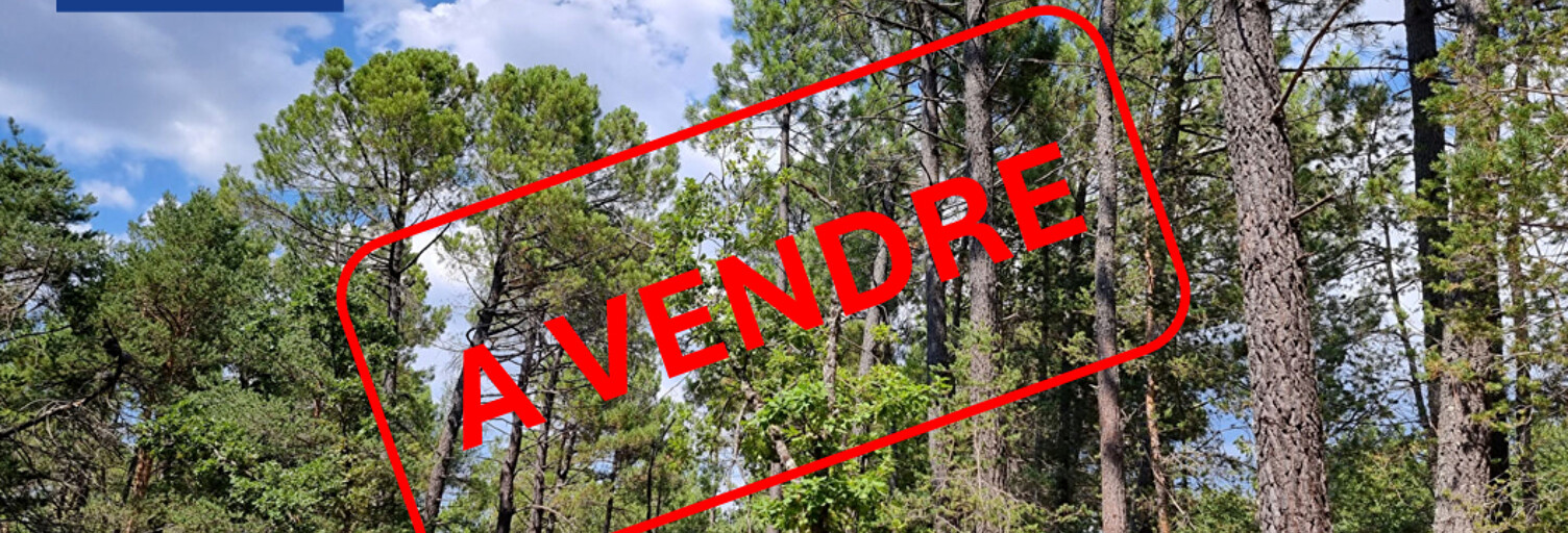 Terrain  11856 m² à vendre à Saint-Trinit (84390)