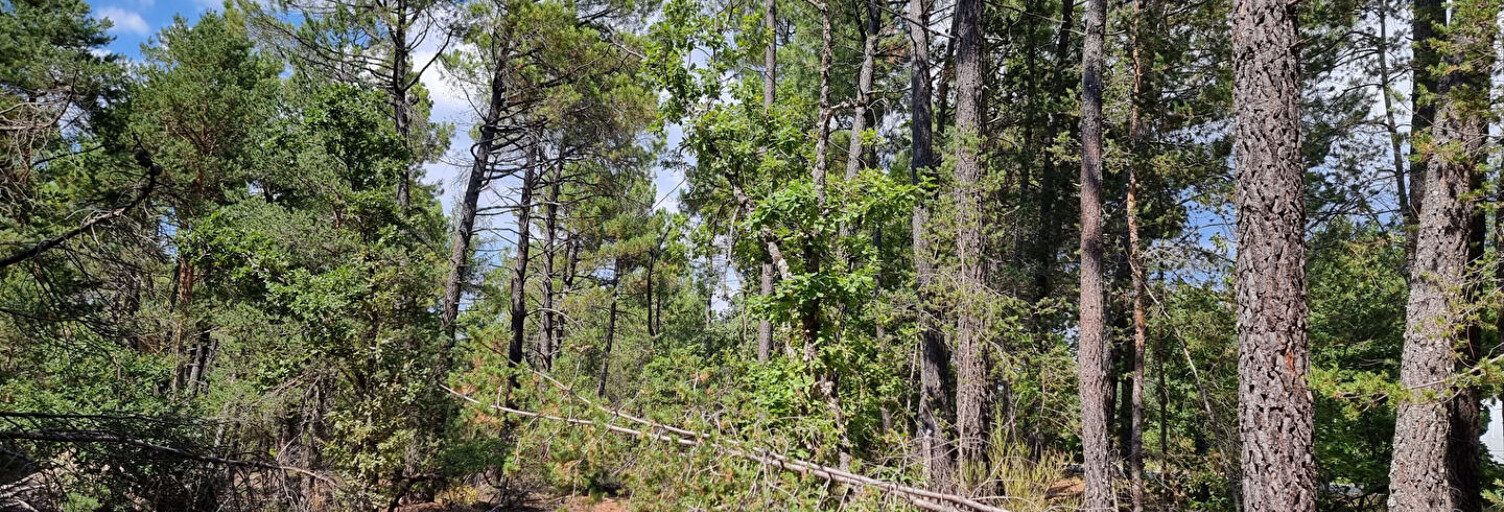 Terrain  11856 m² à vendre à Saint-Trinit (84390)