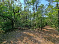 Terrain Saint Trinit 11856m2 — photo 4