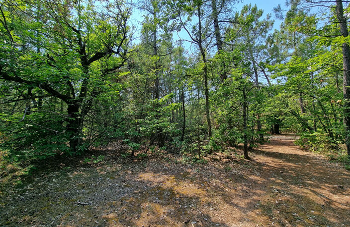 Terrain Saint Trinit 11856m2 — photo 4