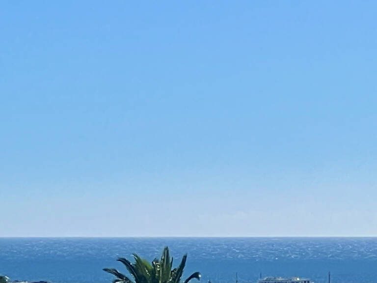 CANNES PETIT JUAS T4 DE 102M2 TERRASSE 14M2 SUD VUE MER PISC — photo 1