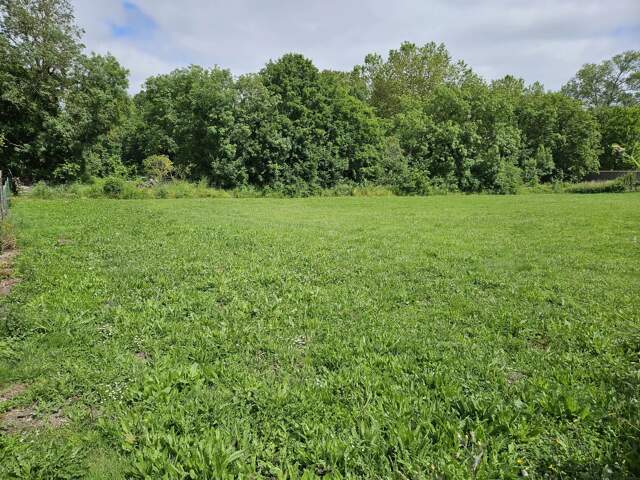 Terrain de 1000m² dans saint Christophe — photo du bien