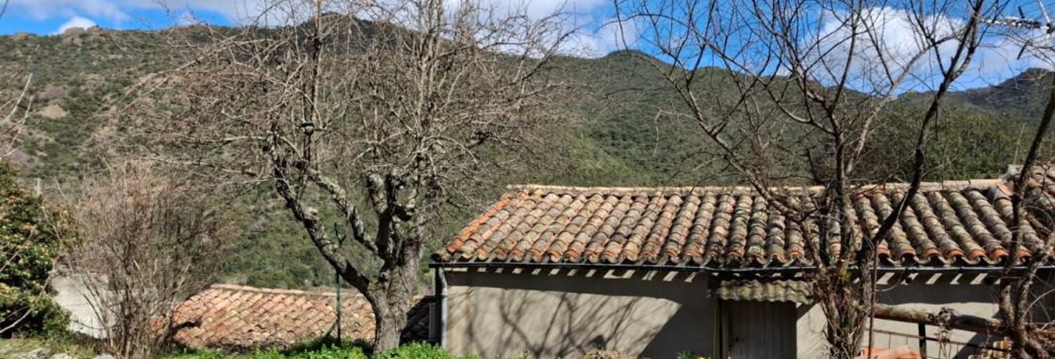 Maison 5 Pièces 100 m² à vendre à Belvianes-et-Cavirac (11500)