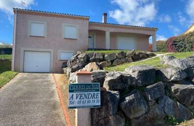vente maison 265 000 € à proximité de Cagnac-les-Mines (81130)