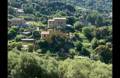 vente maison 589 000 € à proximité de San-Gavino-Di-Carbini (20170)