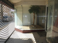LOCAL COMMERCIAL — photo 2