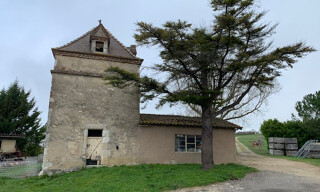 Photo N° 3