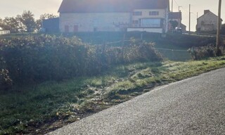 Photo N° 5