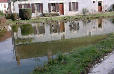 vente maison 70 000 € à proximité de Mesves-sur-Loire (58400)