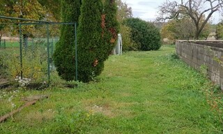 Photo N° 4