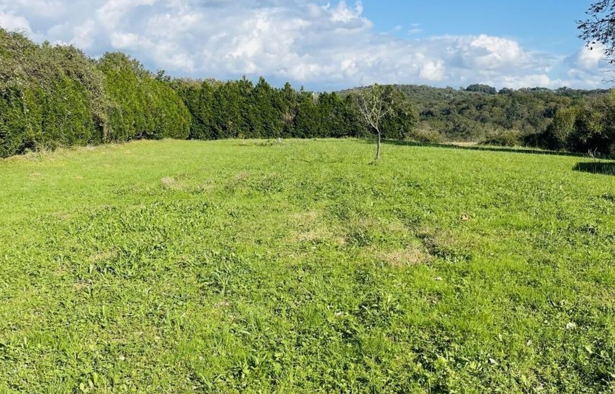 terrain  pièces 1300 m2 à vendre à Salies-de-Béarn (64270)