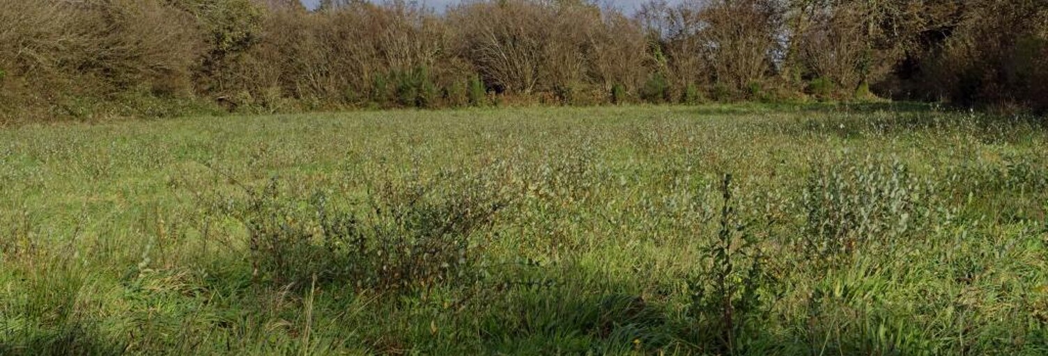 Terrain  5810 m² à vendre à Loqueffret (29530)