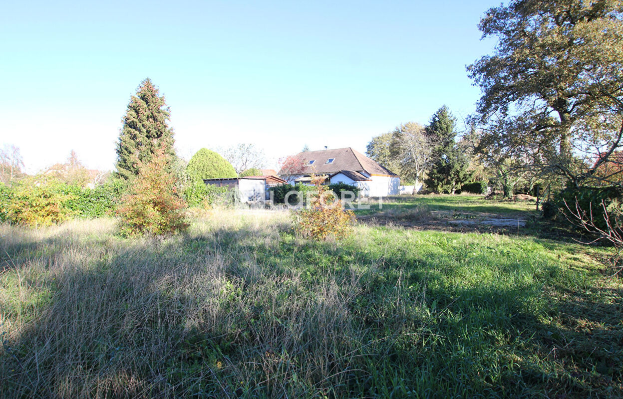 terrain  pièces 1040 m2 à vendre à Castétis (64300)