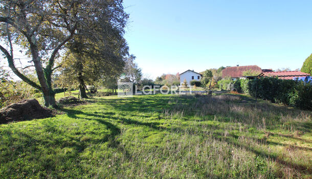 Terrain  à vendre Orthez 64300
