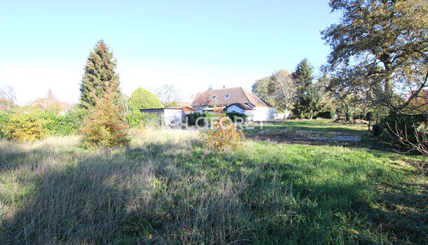 Terrain  à vendre Orthez 64300